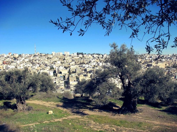 Hebronin kaupunki, jossa Palestiinan miehitys näkyy kaikkien asukkaiden arjessa. 