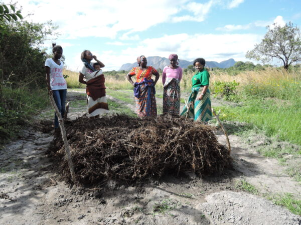 Mosambikissa ilmastonmuutoksen seurauksiin varaudutaan kehittämällä viljelymenetelmiä