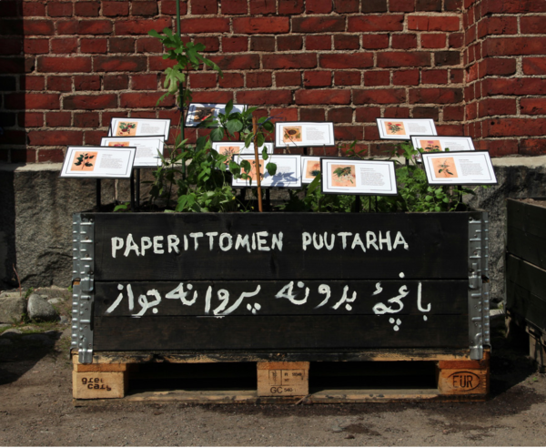 Paperittomien puutarha vuonna 2013