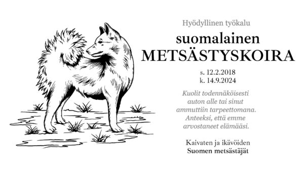 Kaivaten ja ikävöiden, Suomen metsästäjät