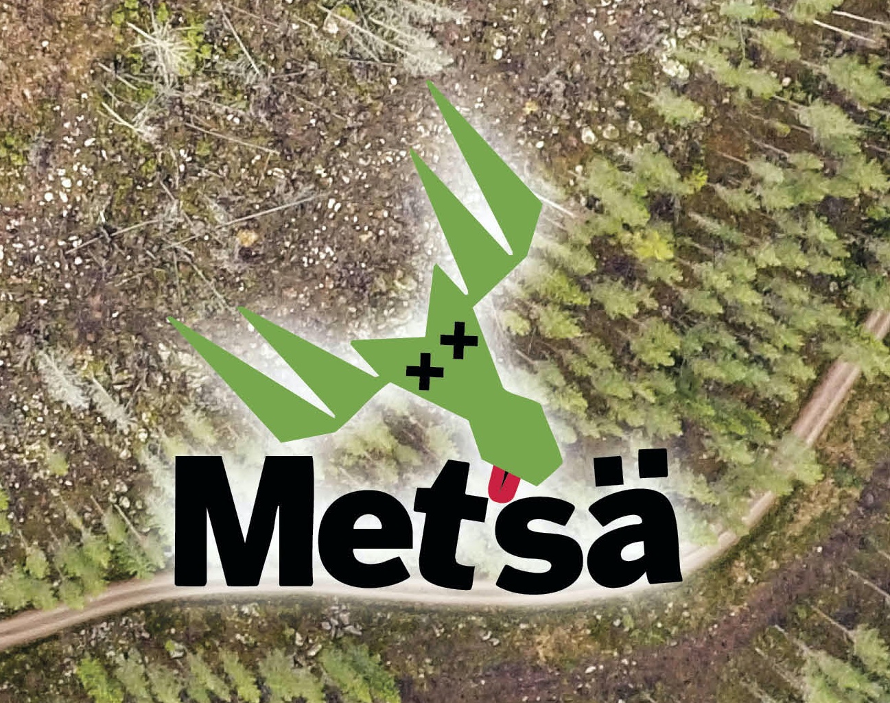 Metsä-otsikko