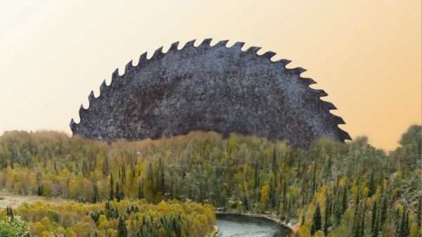 Aamunkoitto