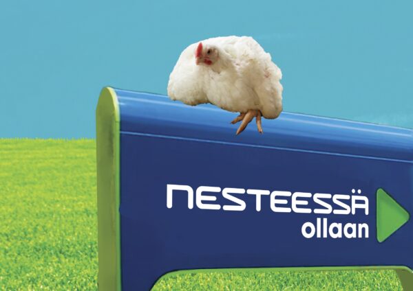 Nesteessä ollaan -otsikko