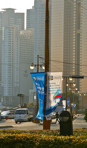 vapaa alaston eebenpuu