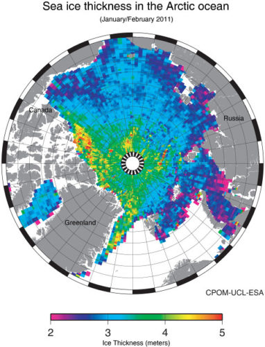 Arktinen kesäkooste