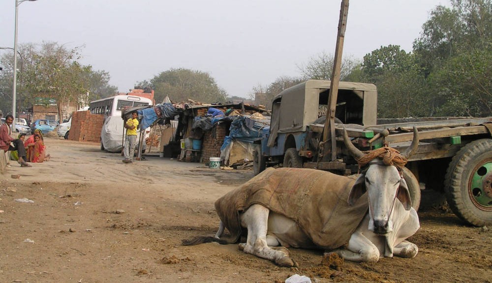 katsella vapaa porno lesbot