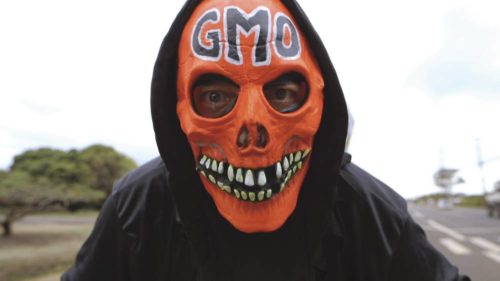 GMO – tunteella vai tiedolla?