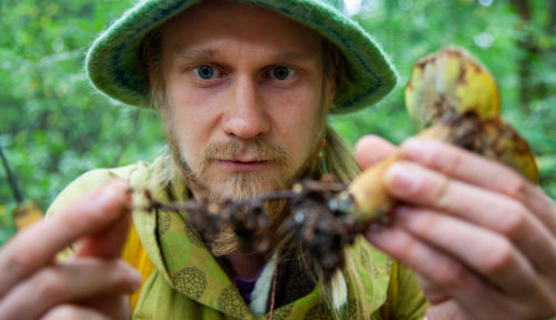 päävaihtoehtokuva1