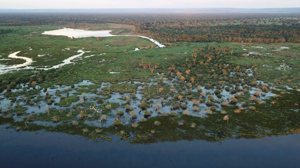 Pantanal, Brasilia