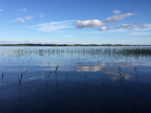 Kesäinen Saimaa. Sininen taivas ja järvi.