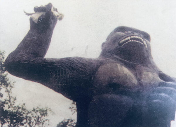 Yksityiskohta Voiman 5/2000 kannesta ja Mark Maherin kuvaamasta King Kongista.