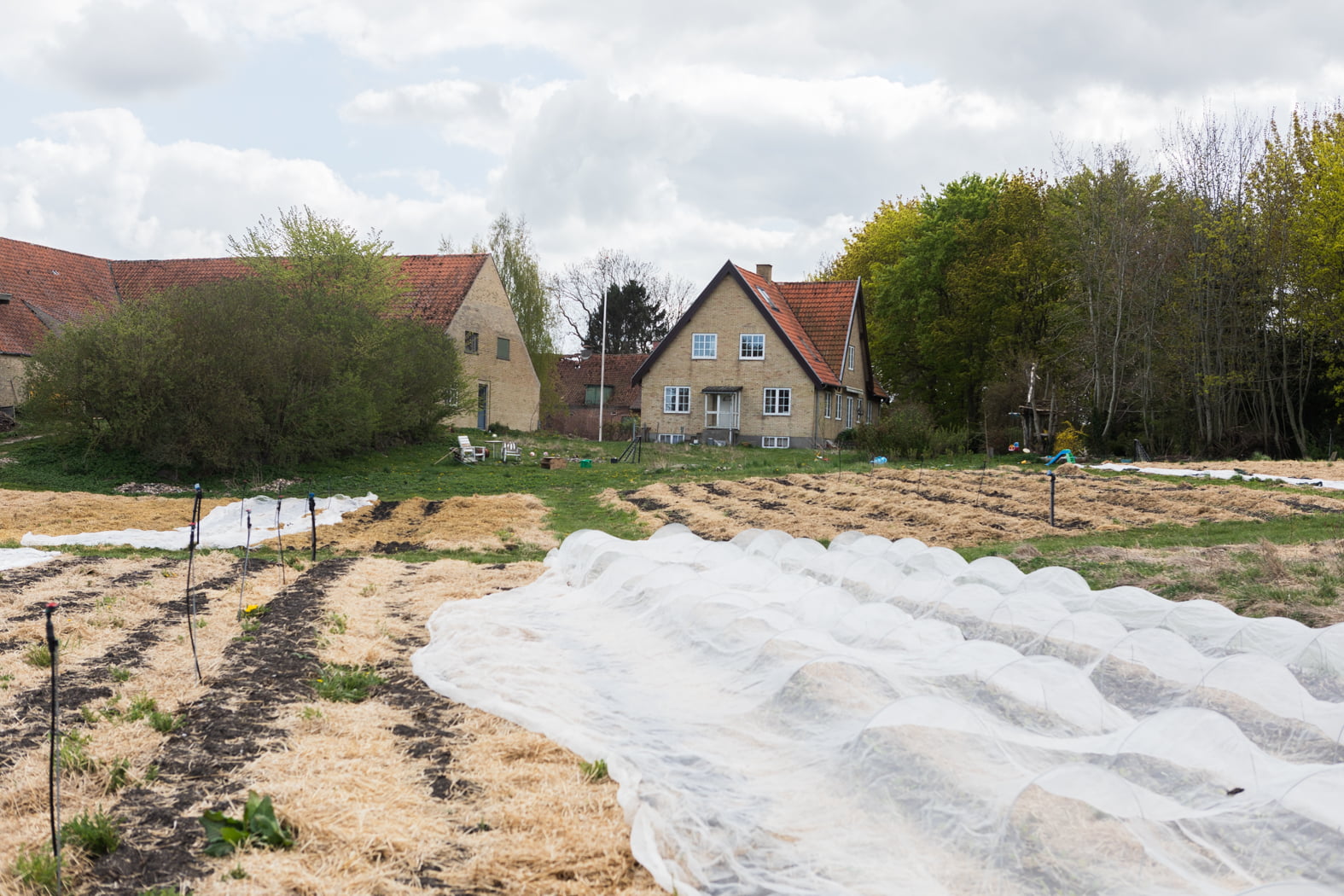 Mosegården Jordbrug, Krøjerup, Tanska. 3.5.2022