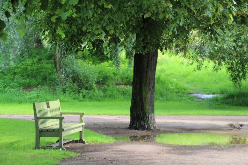 park-bench-g7cd18a641_1920