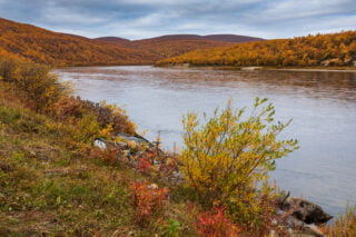 Teno river