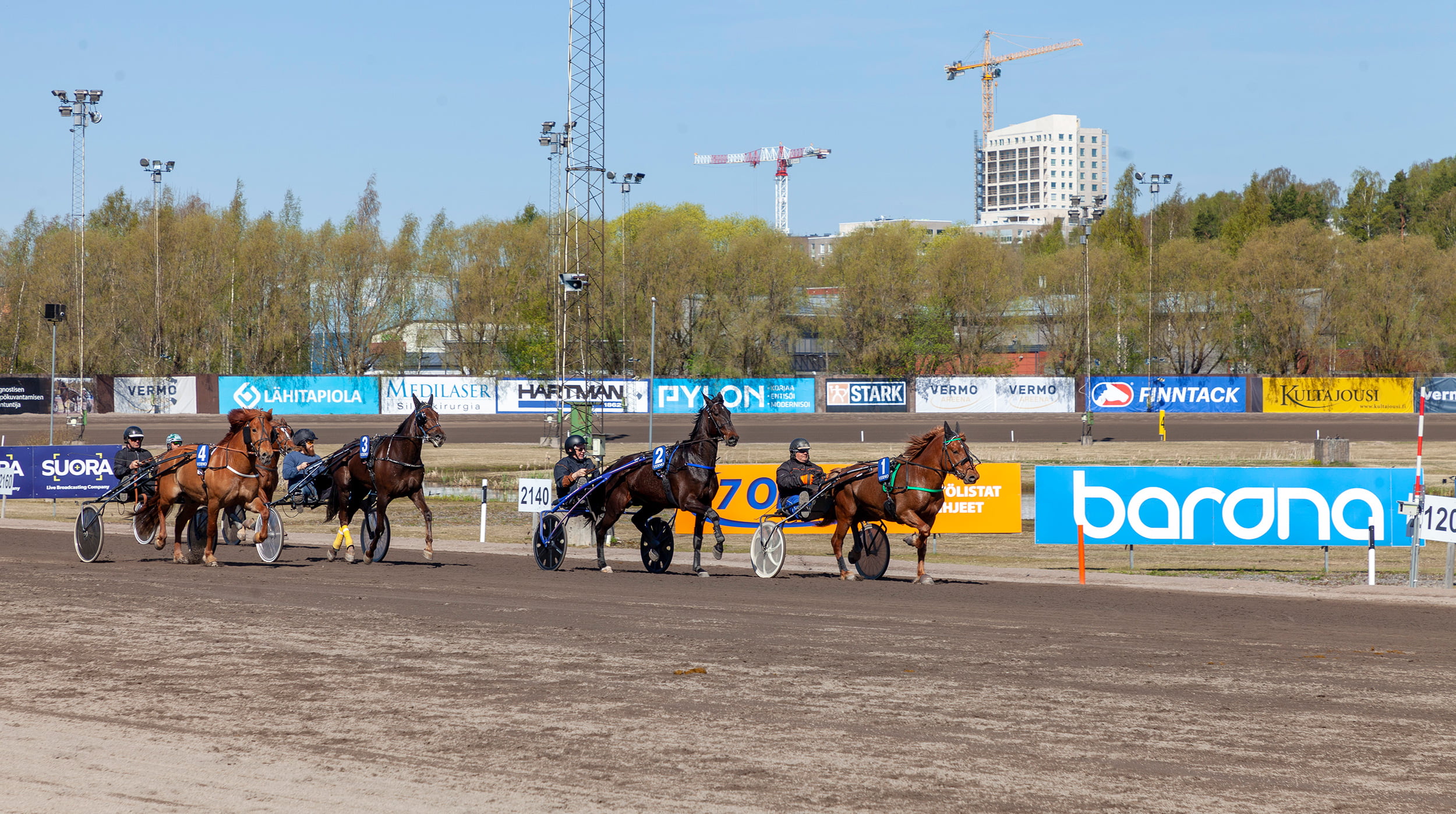 Valokuvassa neljä ravihevosta ravaa radalla aurinkoisena päivänä.