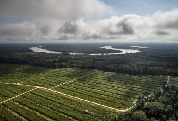 Ilmakuvaa Amazoniasista jossa sademetsää on raivattu pelloiksi
