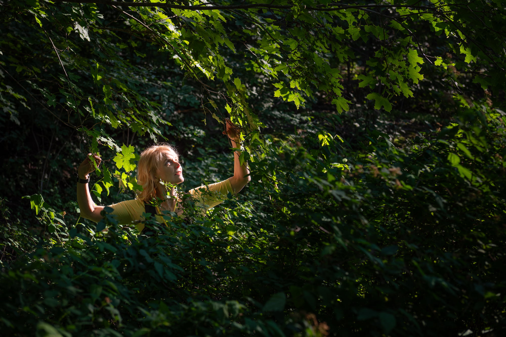 Heli Laaksonen puiden keskellä