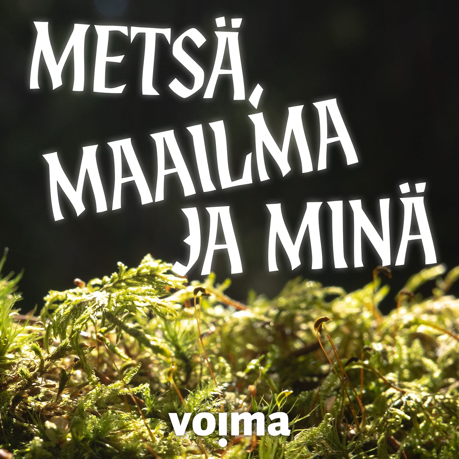 Metsä, maailma ja minä
