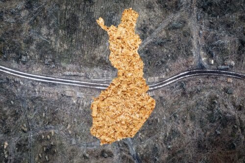 elli-kaunisto-suomi-sellukattilaan-kuvitus_S