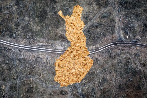 elli-kaunisto-suomi-sellukattilaan-kuvitus_S