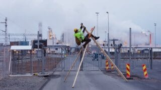 elokapinalainen kiipeämässä