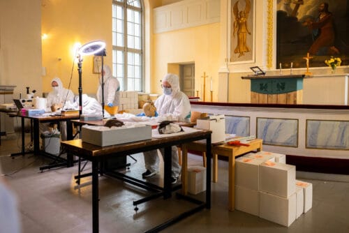 Kallo ei ole vain kallo palkaneen-kallot_netti