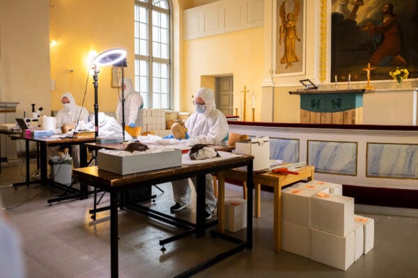 palkaneen-kallot_netti