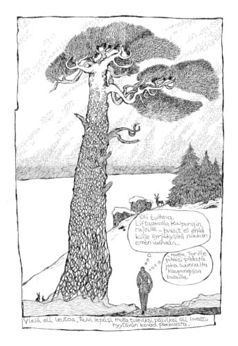 Metsät ja pensaat kihisevät elämää puutarhuri Anne Strengin fantasiasarjakuvissa 09_Streng_Kivet_300dpi