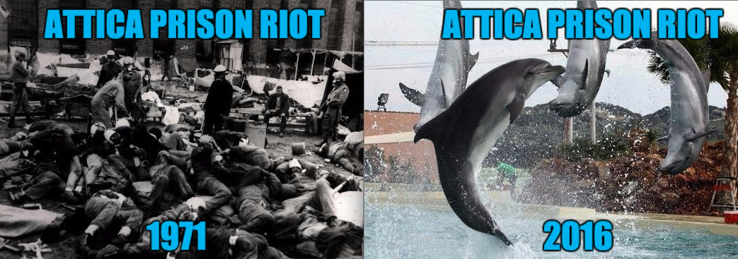 Attica Prison riot ennen ja nyt. Kuolonuhreilta ei vältytä ja meno on kaikin puolin ikävää.