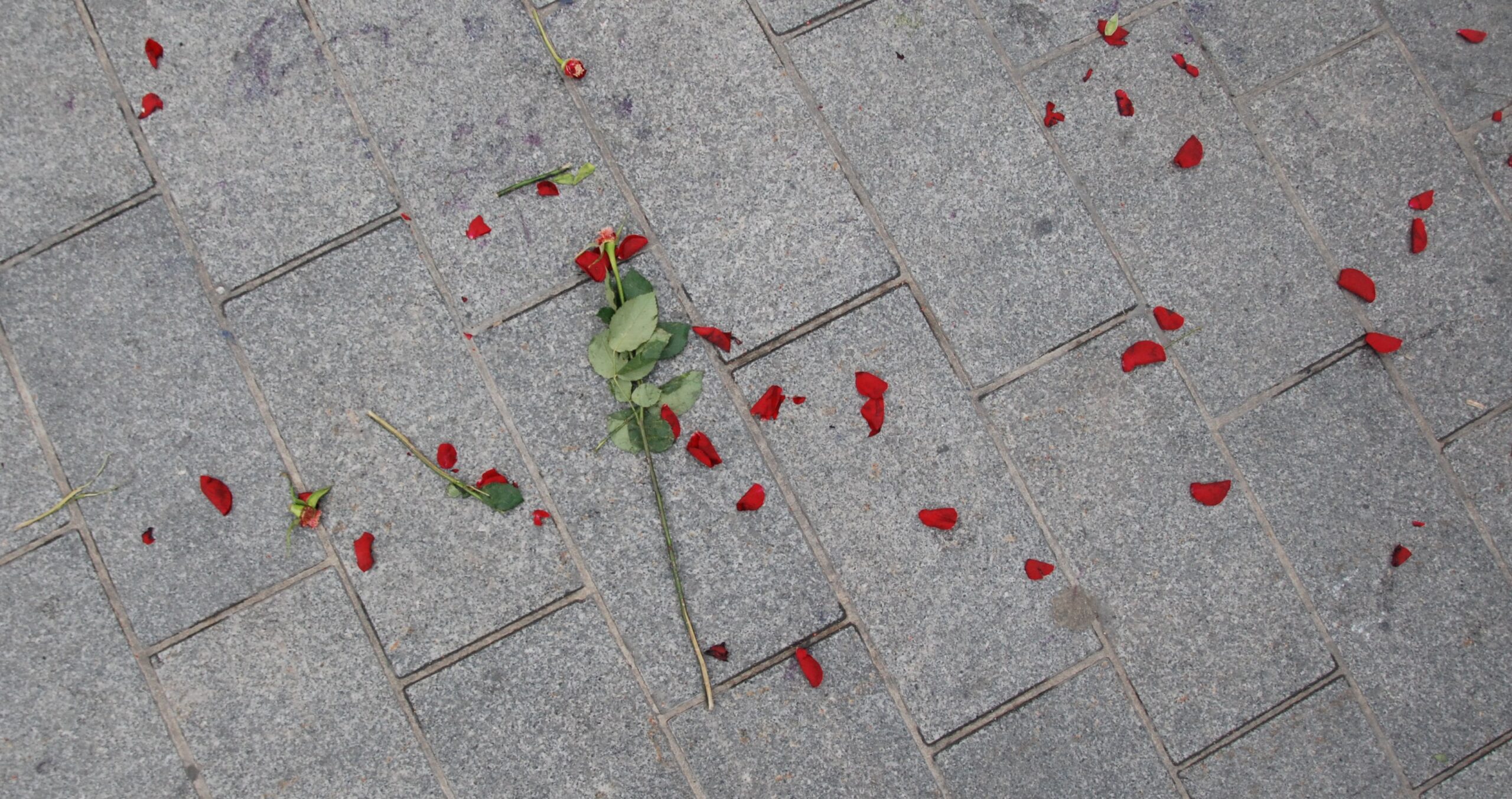 Bed of Roses