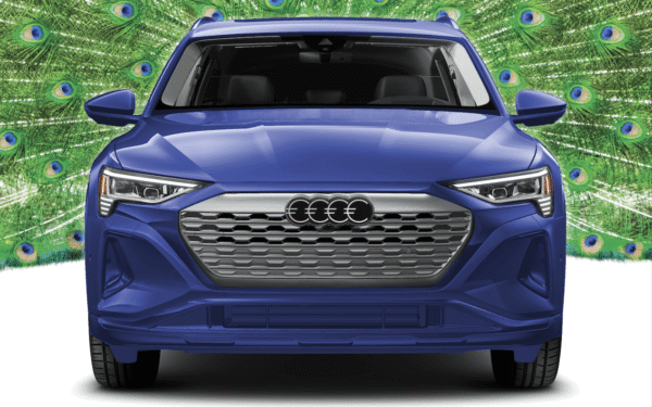 audi-mies-otsikko