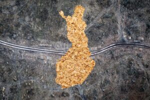 Kaikki puut kattilaan – kuka tunnistaa valtion metsien suojeluarvon? elli-kaunisto-suomi-sellukattilaan-kuvitus-s