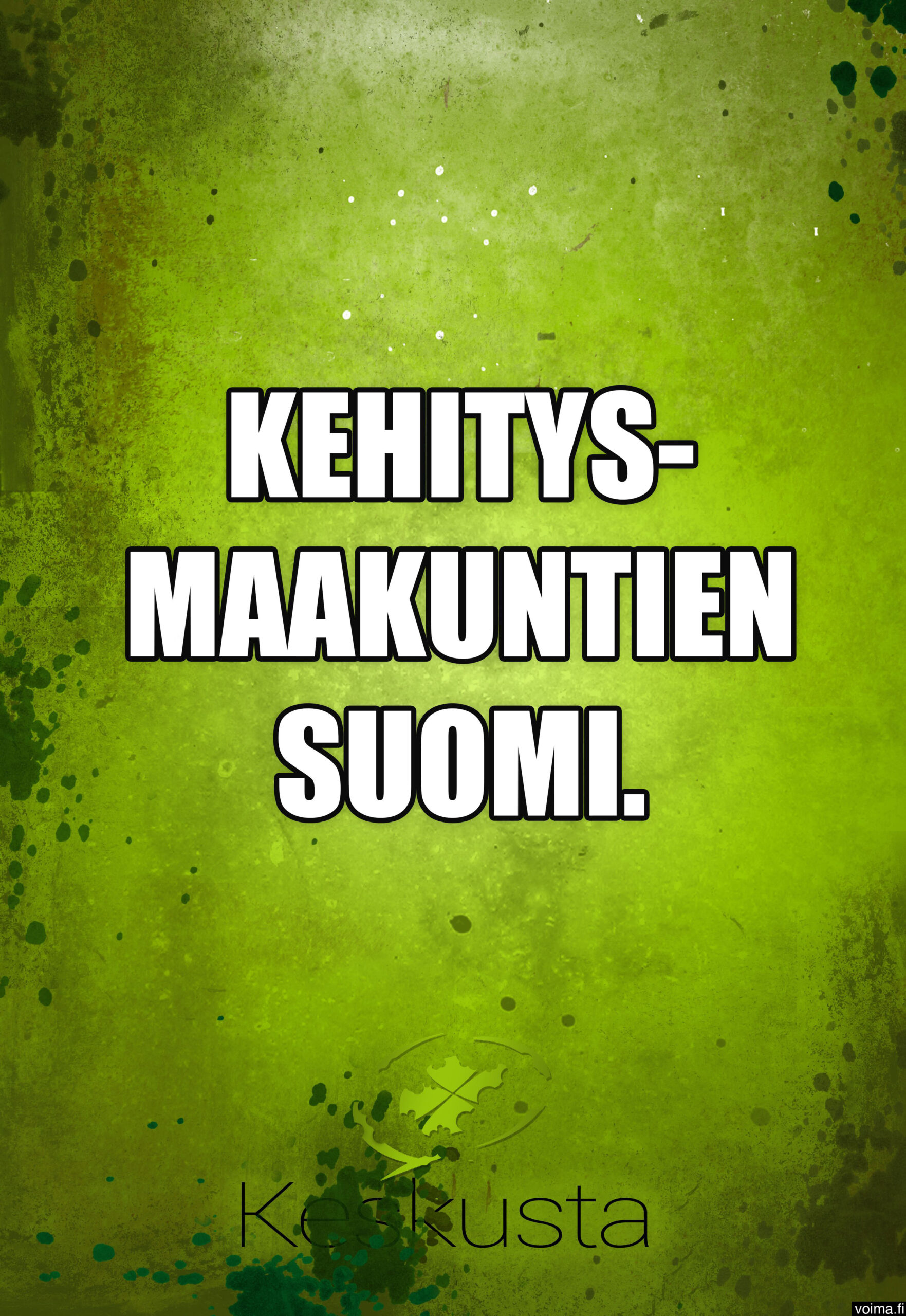 Vieläkö muistatte Kehittyvien maakuntien Suomi -virityksen? Arvostatteko siltarumpupolitiikkaa? Sitäkin olisi tarjolla näissä vaaleissa.