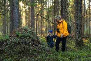 Retkelle ikimetsään – luonnontilaisessa metsässä on helppo liikkua luonnonmetsa1-20220525-2031-04-754