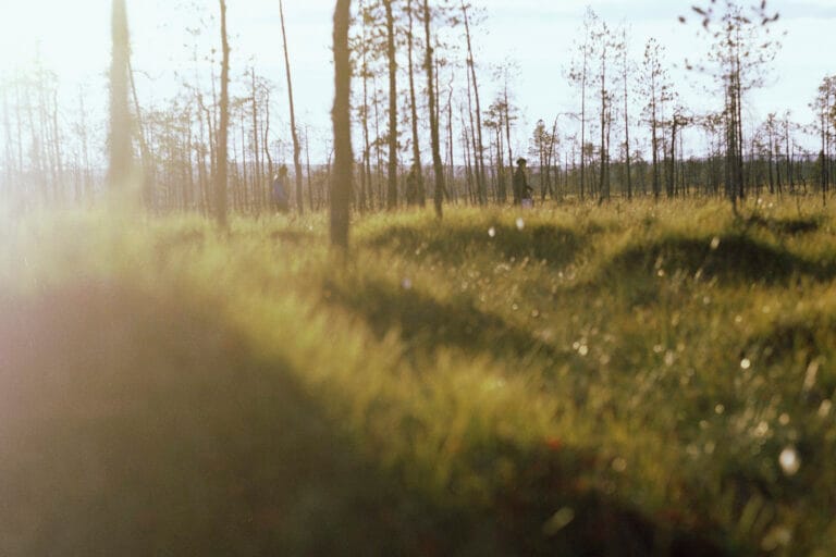 Kaksi marjanpoimijaa kävelee aurinkoisella suolla