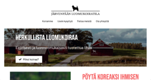 nayttokuva-2024-1-20-kello-150126