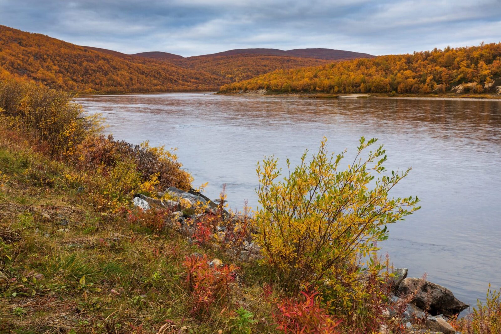 Teno river