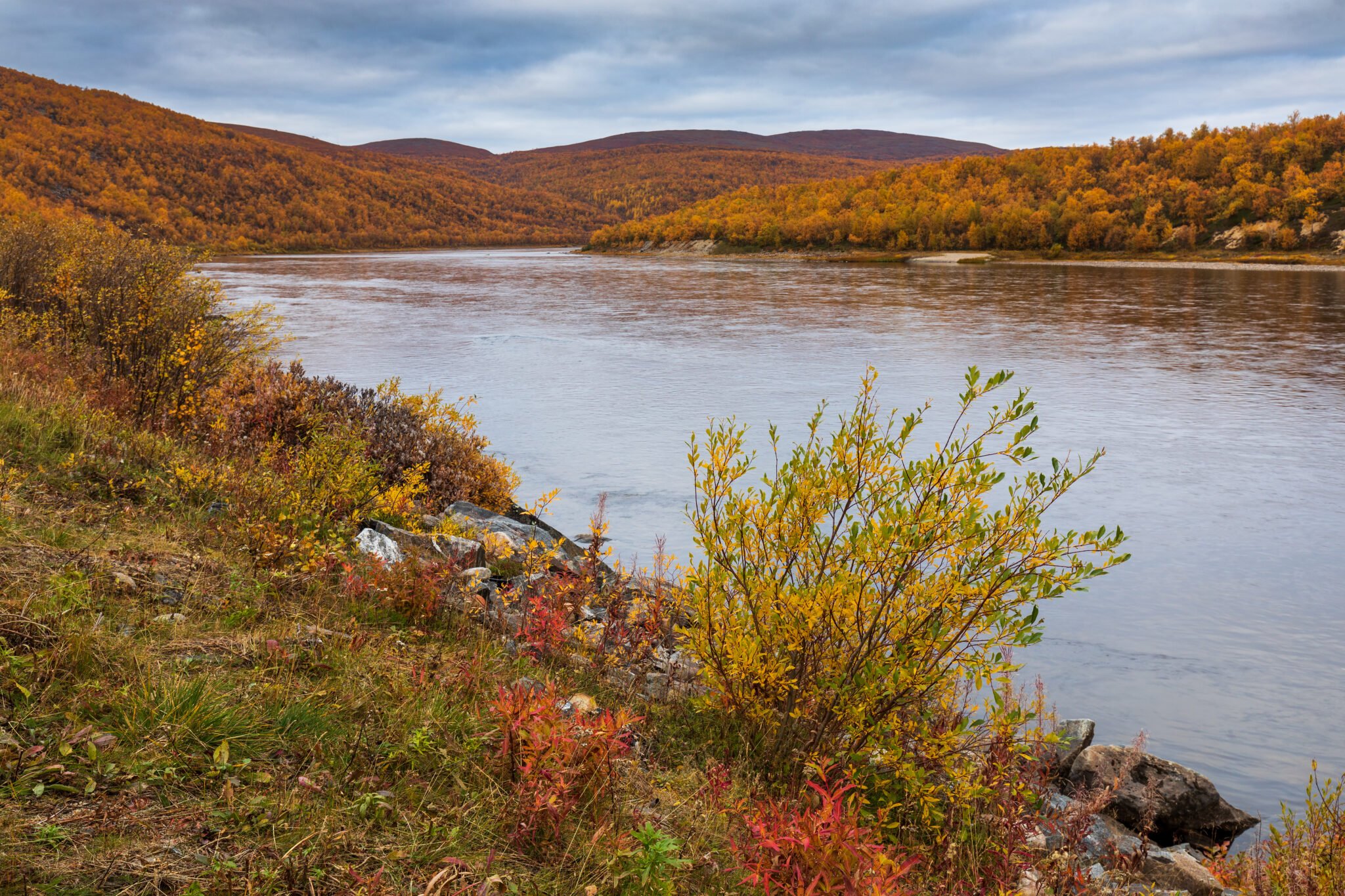 Teno river