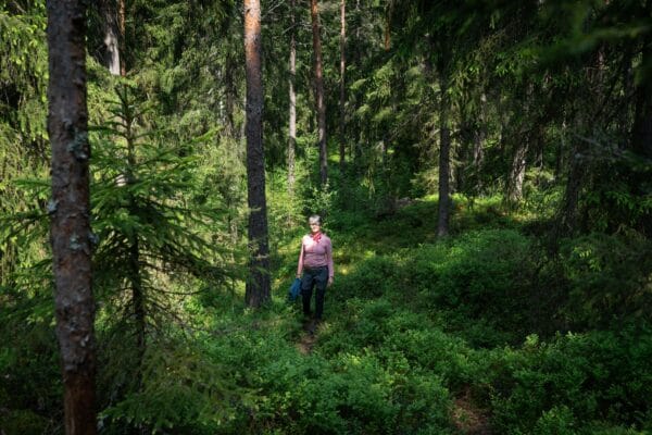 rusko_nettiin_2_1_sRGB