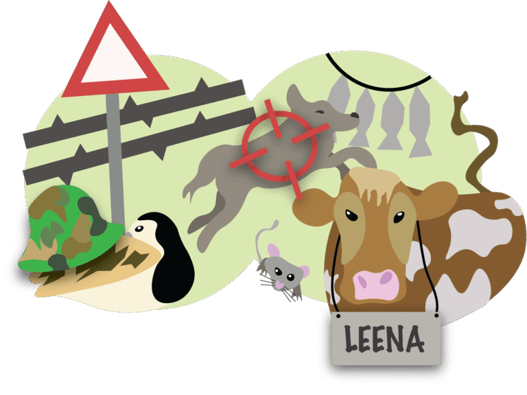 Kuvituskuva eläimistä