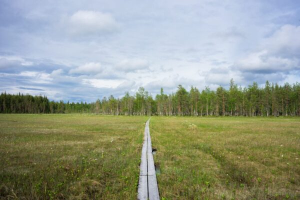Kun kaivosyhtiö tulee kylään viiankaapa-verkko1-srgb