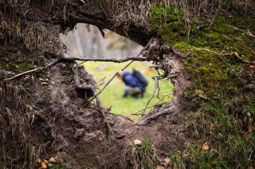 Suippumadonlakkia etsimässä – käyttäjä pitää laittomuutta absurdina madonlakin_etsinta