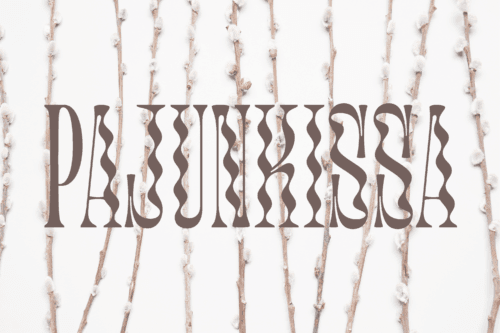 Pajunkissa 3000×2000 tumma-1