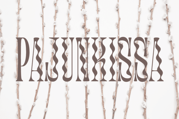 Pajunkissa 3000x2000 tumma-1