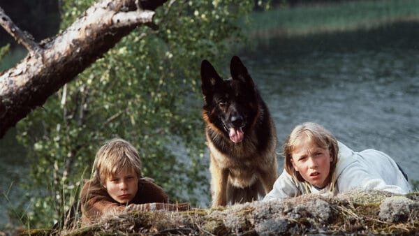 susikoira roi kuva yle