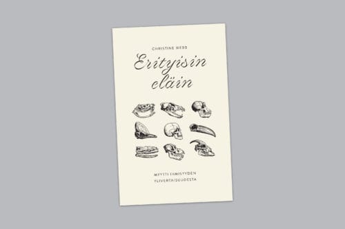 erityisinelain_netti