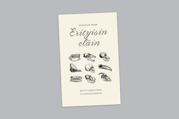 erityisinelain_netti