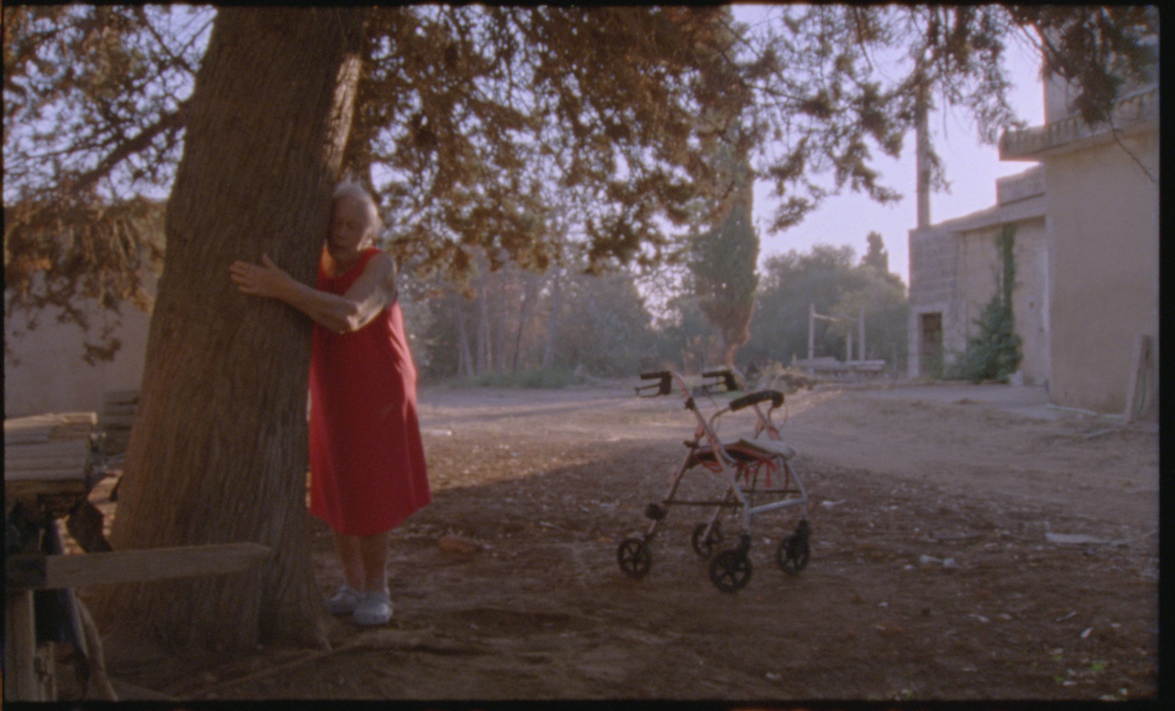 Sinna halaa puuta. Vierellä näkyy hänen kävelytelineensä