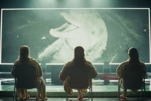 55080024782_9fbea61f7e_k