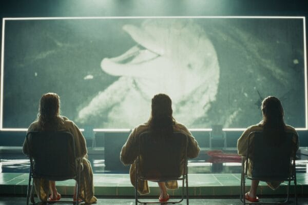 55080024782_9fbea61f7e_k